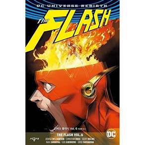 시공사 플래시 Vol 6 - DC 리버스