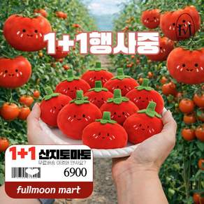 [ChiChi귀여움폭발] 인형 키링 맛쟁이토마토키링 2개세트