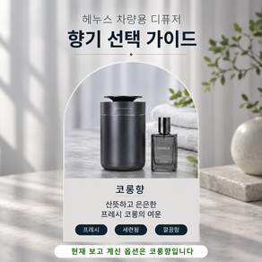 헤몬팜 180일 향 차량용 고체 방향제 탈취제 차안 냄새 악취 제거