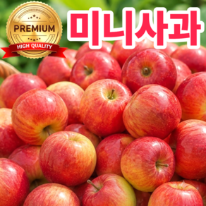 [파격특가] 미니사과 고당도 루비에스 사과 꼬마사과
