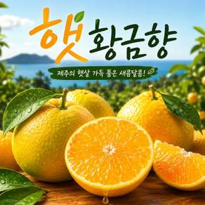 [프리미엄] 미미팜 고당도 제주 황금향 산지직송