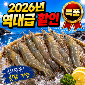 [횟감 사용가능] 조업 국산 생새우 회 활 생새우회 산지 직송