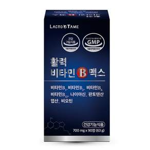락토테미 활력 비타민b 맥스