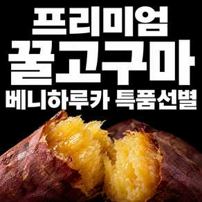 베니하루카 꿀고구마 구매 1위 해남 꿀밤고구마 특상 선별
