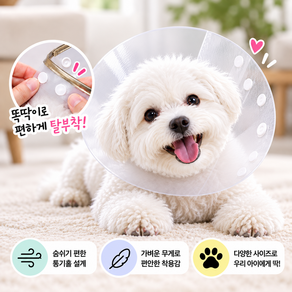 포우팝 통기성 가벼운 똑딱이형 강아지 고양이 넥카라 목보호대