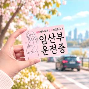DMmade 신생아 임산부 영유아 탑승중 운전중 현관문 차량 스티커 자석 탈부착 임신출산 선물