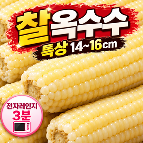 "다담팜" 특품 냉동 백찰 옥수수