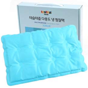 테슬테즐 사각 다용도 냉 찜질팩 스카이블루 HZM-TC1