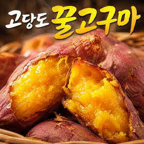 26년 해남 황금 햇 고구마 밤고구마 꿀고구마