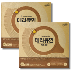 테라큐민 맥스 60 나노화 커큐민 정제 18g