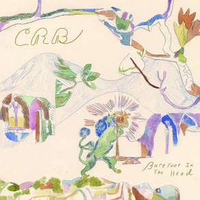 Chris Robinson Artist Vinyl 비닐 LP 레코드 Barefoot in the Head 미국 발송