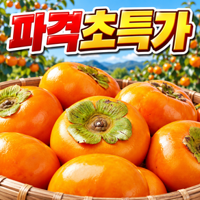 [하루한정100박스] 산지직송 아삭달콤 초고당도 햇단감