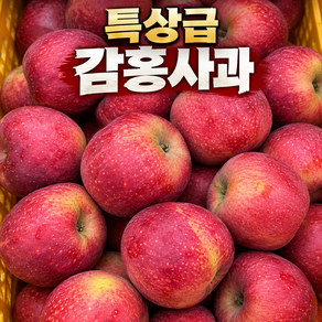 감홍사과 백화점납품 특상급 깨비네사과 햇사과