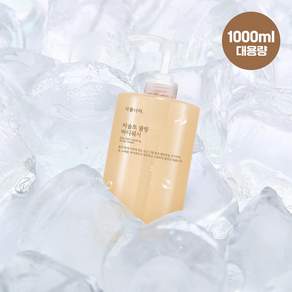 식물나라 씨솔트 쿨링 바디워시 1000mL 대용량