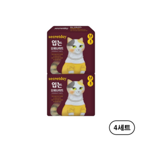 시크릿데이 입는 오버나이트 생리대