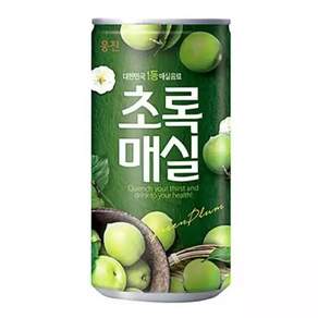 초록매실 음료