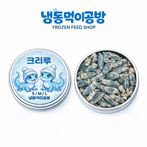 [머리 다리 더듬이 제거] 냉동 귀뚜라미 대40g 약80마리 파충류먹이 도마뱀먹이 크레스티드게코 관상어 파충류