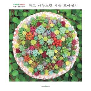 작고 사랑스런 세둠 모아심기