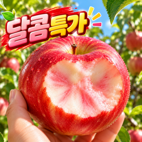 [한정초특가] 엔부사과 복숭아향 1등달콤 피치애플