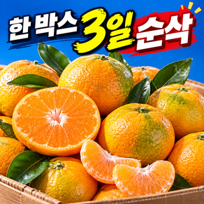 [미친특가] 고당도 제주 감귤 한정수량판매
