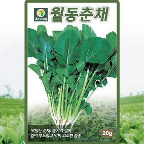다농 월동춘채 씨앗 20g