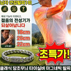클래식 당초무늬 타이실버 마그네틱 팔찌 타이타늄 스틸 자석 에너지 팔찌 남성 네오디움 팔찌 남자 팔찌 건강팔찌 1위 자석 자기 케어 팔찌 헬스케어 헤마타이트 BAODAN
