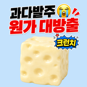 말랑숲 크런치 말랑이 슬랑이