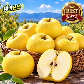 고당도 특품 시나노골드 황금사과 산지직송 아삭달콤 제철사과 5kg