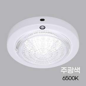 케이시조명 국산 LED센서등 15W 현관등 센스등 방습 조명