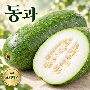 [재구매1위] 동과 야채 호박 동아