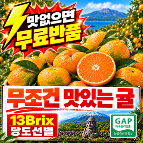 GAP인증 마니팜농원 고당도 노지제주감귤 밀감 귤 13BRIX당도선별
