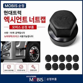대성부품 현대 엑시언트 신형 순정 너트캡 33mm 휠볼트캡 휠너트캡 볼트커버 10홀 모비스 정품 엑시언트 프로 트라고 뉴파워텍 대형트럭 카고 덤프 트레일러 추레라 대형버스 유니버스