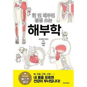 NSB9791124272589 새책스테이책터 한 번 배우면 평생 쓰는 해부학 한 번 배우면 평생 쓰는 한즈미디어한스미디어 허영은 20260731 288쪽