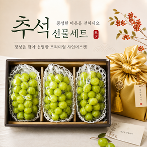 VIP선물용 고당도 최고19Brix 추석과일선물세트 샤인머스켓선물세트