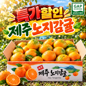 [한정특가 판매] 제주 노지 감귤 11brix이상 고당도