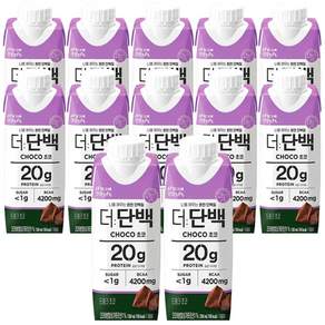 빙그레 더단백 드링크 초코 250ml / 단백질음료