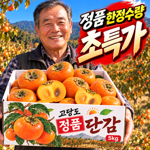 [50박스하루초특가] 초고당도 프리미엄 정품 단감
