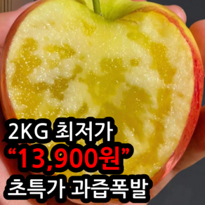[최저가가성비]초고당도 과즙폭발 가정용 감홍사과