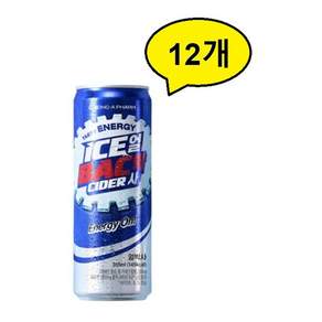 얼박사355ml 12개
