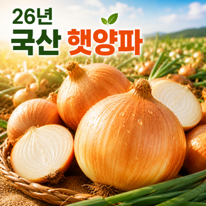 26년 농가직접재배 국내산 수민팜햇양파 가성비1등