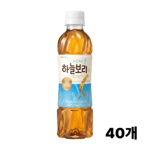 웅진 하늘보리 유/무라벨 랜덤