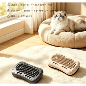 강아지 드라이&빗질 해드 다이슨 호환