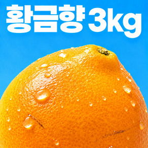 [제철과일특가] 고당도 가정용 못난이 황금향