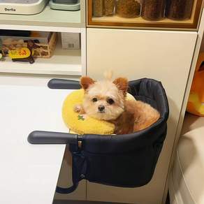 강아지 식탁의자 테이블 거치 티케이엘