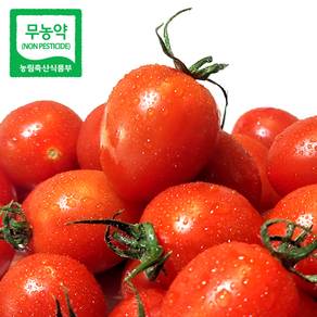 무농약 대추방울토마토 친환경 인증 고당도 토마토