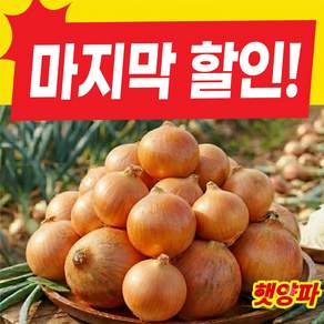 [올해마지막특가]농장직송 국내산 싱싱아삭 햇양파