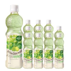 (무료배송) 자연은 샤인머스캣 500ml x 12개