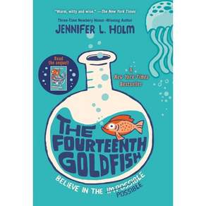 [해외도서] The Fourteenth Goldfish