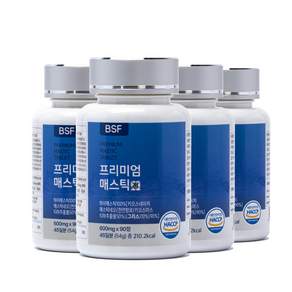 BSF 프리미엄 매스틱정 HACCP 인증 600mg x 90정