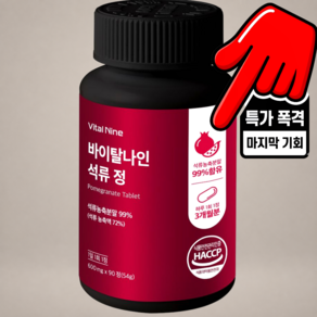 석류정 식물성 에스트로겐 석류 갱년기